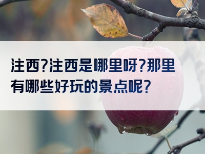 注西？注西是哪里呀？那里有哪些好玩的景点呢？