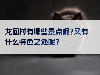龙回村有哪些景点呢？又有什么特色之处呢？