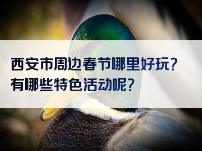 西安市周边春节哪里好玩？有哪些特色活动呢？