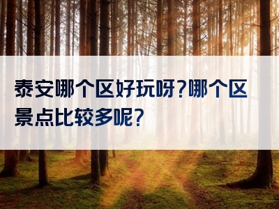 泰安哪个区好玩呀？哪个区景点比较多呢？
