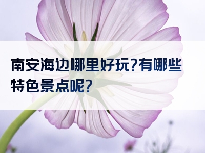 南安海边哪里好玩？有哪些特色景点呢？