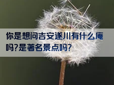 你是想问吉安遂川有什么庵吗？是著名景点吗？
