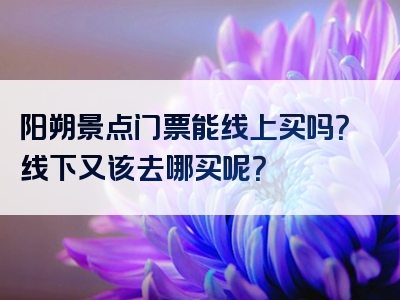阳朔景点门票能线上买吗？线下又该去哪买呢？