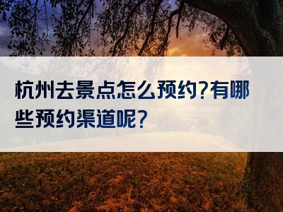 杭州去景点怎么预约？有哪些预约渠道呢？