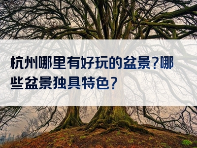 杭州哪里有好玩的盆景？哪些盆景独具特色？