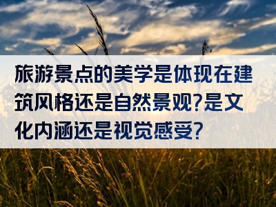 旅游景点的美学是体现在建筑风格还是自然景观？是文化内涵还是视觉感受？