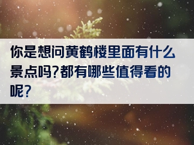 你是想问黄鹤楼里面有什么景点吗？都有哪些值得看的呢？
