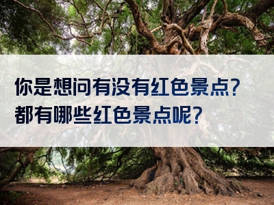 你是想问有没有红色景点？都有哪些红色景点呢？
