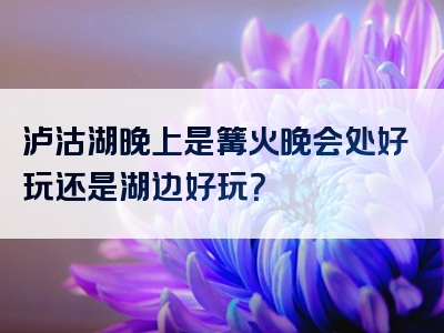 泸沽湖晚上是篝火晚会处好玩还是湖边好玩？