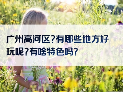 广州高河区？有哪些地方好玩呢？有啥特色吗？