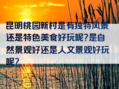 昆明桃园新村是有独特风景还是特色美食好玩呢？是自然景观好还是人文景观好玩呢？