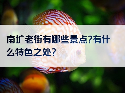 南圹老街有哪些景点？有什么特色之处？