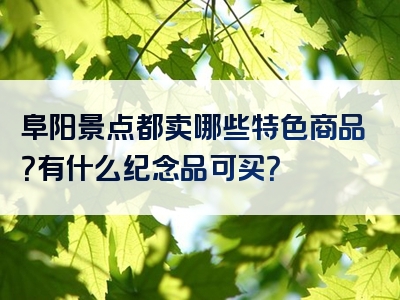 阜阳景点都卖哪些特色商品？有什么纪念品可买？