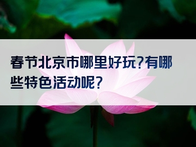 春节北京市哪里好玩？有哪些特色活动呢？