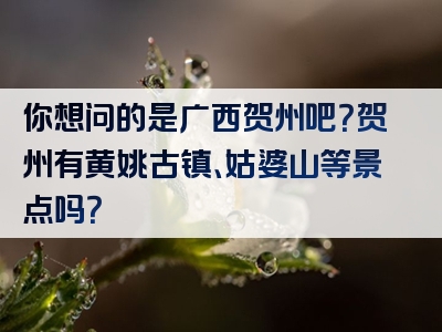 你想问的是广西贺州吧？贺州有黄姚古镇、姑婆山等景点吗？