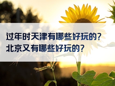 过年时天津有哪些好玩的？北京又有哪些好玩的？