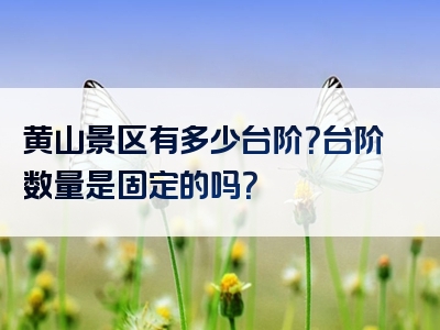 黄山景区有多少台阶？台阶数量是固定的吗？