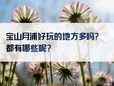 宝山月浦好玩的地方多吗？都有哪些呢？