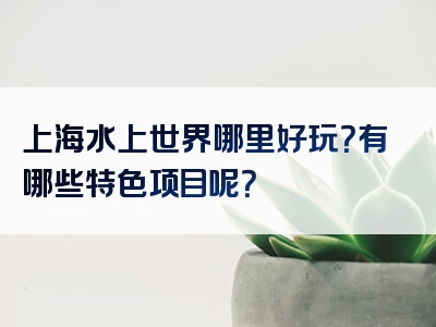 上海水上世界哪里好玩？有哪些特色项目呢？