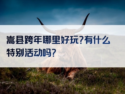嵩县跨年哪里好玩？有什么特别活动吗？