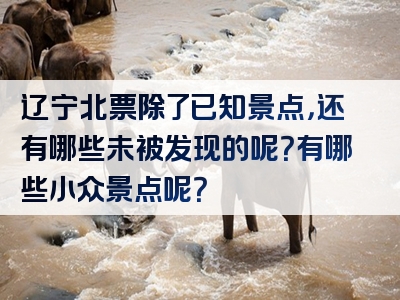 辽宁北票除了已知景点，还有哪些未被发现的呢？有哪些小众景点呢？
