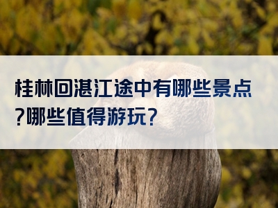 桂林回湛江途中有哪些景点？哪些值得游玩？