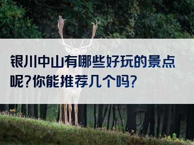 银川中山有哪些好玩的景点呢？你能推荐几个吗？