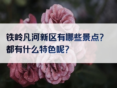 铁岭凡河新区有哪些景点？都有什么特色呢？