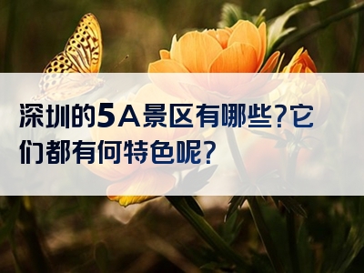 深圳的5A景区有哪些？它们都有何特色呢？