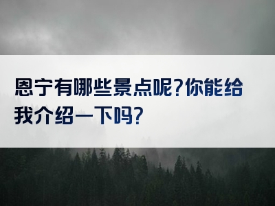 恩宁有哪些景点呢？你能给我介绍一下吗？
