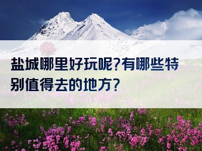 盐城哪里好玩呢？有哪些特别值得去的地方？