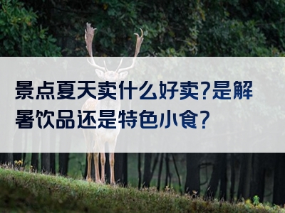 景点夏天卖什么好卖？是解暑饮品还是特色小食？