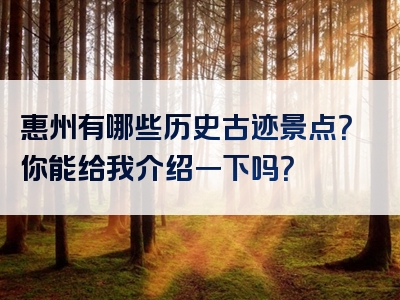 惠州有哪些历史古迹景点？你能给我介绍一下吗？