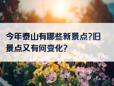 今年泰山有哪些新景点？旧景点又有何变化？