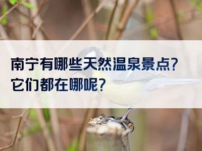 南宁有哪些天然温泉景点？它们都在哪呢？