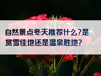 自然景点冬天推荐什么？是赏雪佳地还是温泉胜地？