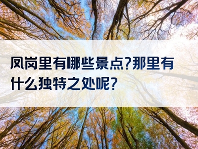 凤岗里有哪些景点？那里有什么独特之处呢？