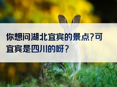 你想问湖北宜宾的景点？可宜宾是四川的呀？