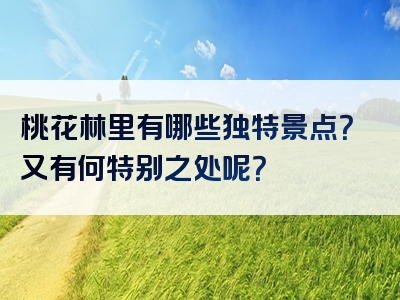 桃花林里有哪些独特景点？又有何特别之处呢？