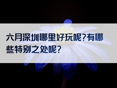 六月深圳哪里好玩呢？有哪些特别之处呢？