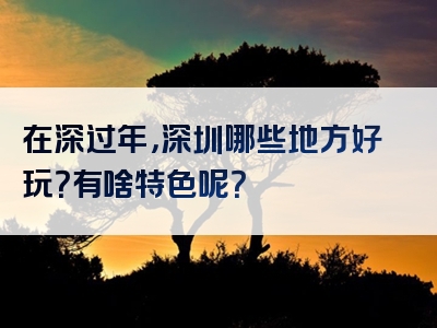 在深过年，深圳哪些地方好玩？有啥特色呢？