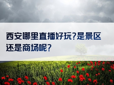 西安哪里直播好玩？是景区还是商场呢？