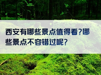 西安有哪些景点值得看？哪些景点不容错过呢？
