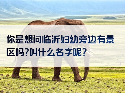 你是想问临沂妇幼旁边有景区吗？叫什么名字呢？