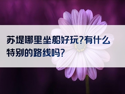 苏堤哪里坐船好玩？有什么特别的路线吗？