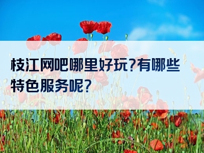 枝江网吧哪里好玩？有哪些特色服务呢？