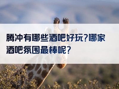 腾冲有哪些酒吧好玩？哪家酒吧氛围最棒呢？