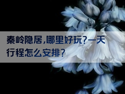 秦岭隐居，哪里好玩？一天行程怎么安排？