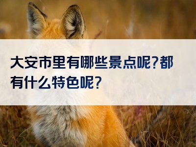 大安市里有哪些景点呢？都有什么特色呢？