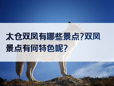 太仓双凤有哪些景点？双凤景点有何特色呢？